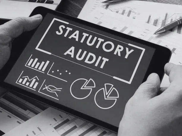 Statutory Audit (Upto 1 cr)